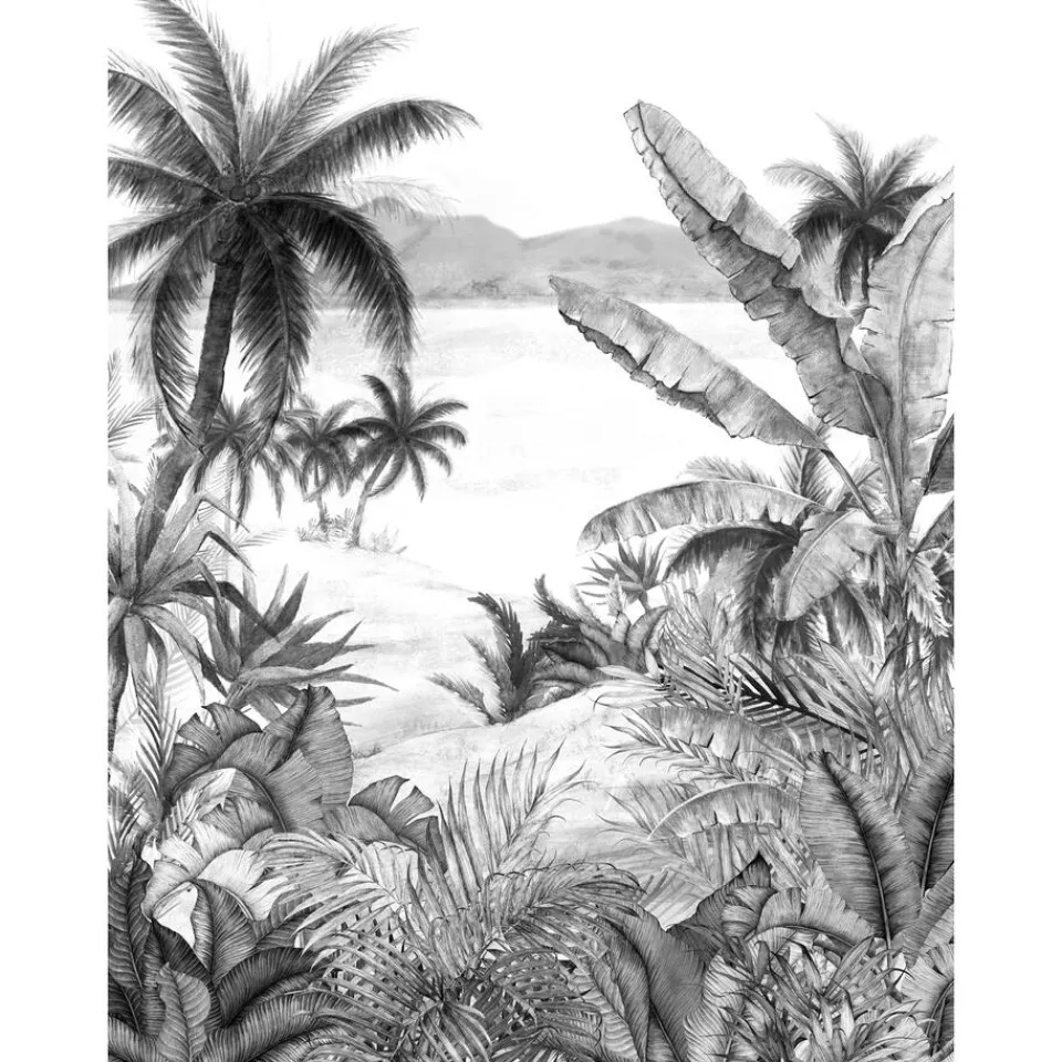 Fotobehang Palm^ Fotobehang