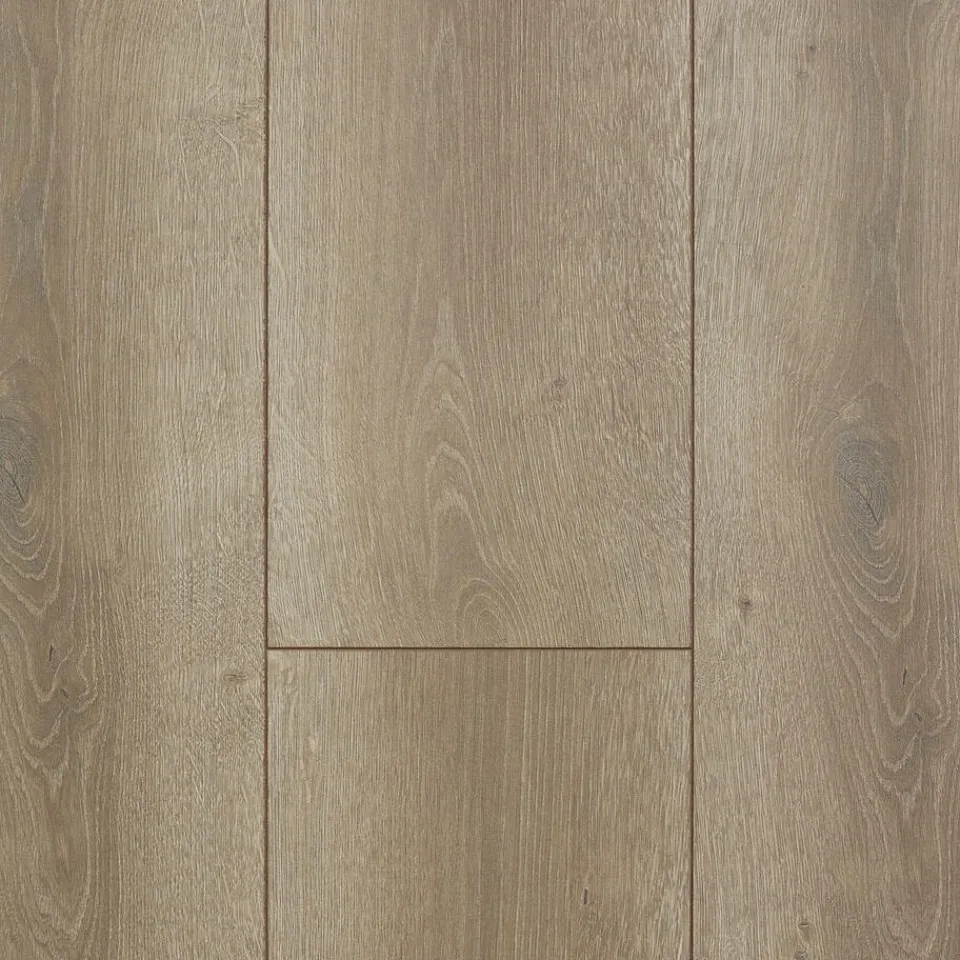 Laminaat Ibis Eiken XL Plank^ Houtlook Laminaat