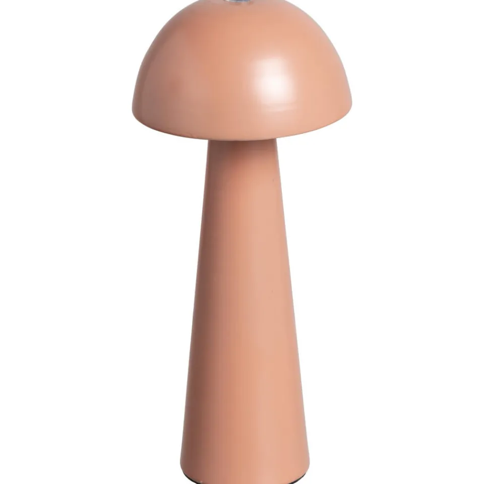 Tafellamp USB Alzir Terra^ Tafellampen